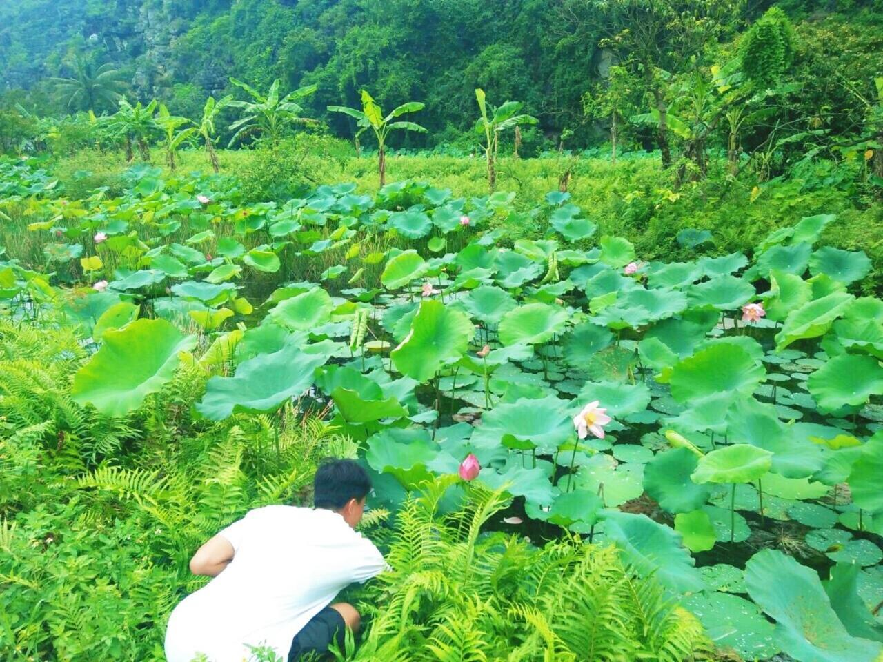 Sunny Trang An Homestay Ninh Binh Exterior foto